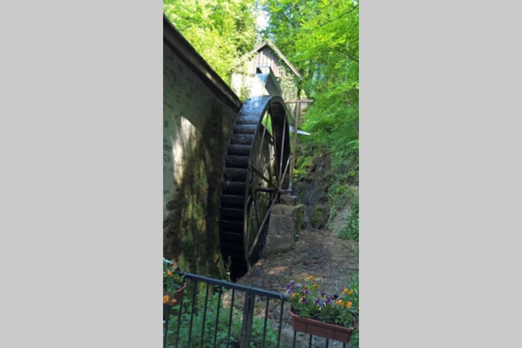Le Portougais, Chalet A Chanaz, La Petite Venise Savoyarde Eksteriør billede